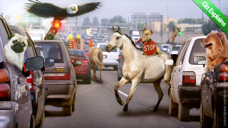 Illustration for article titled This Week's Top Stories